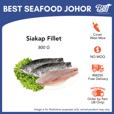 Siakap Fillet (Barramundi Fillet) 800g± 金目鲈鱼片