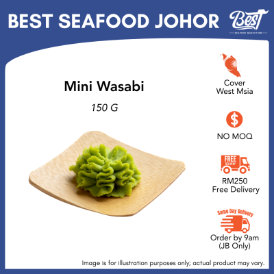 Mini Wasabi Paste 150g 芥末酱