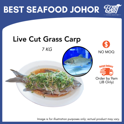 Wan Yee / Wan Yu / 鲩鱼 7kg±