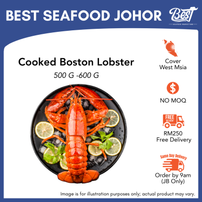 Cooked Boston Lobster 500-600g±/pcs 波士顿龙虾