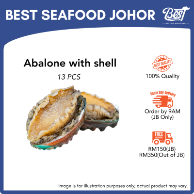 Abalone / 九孔鲍鱼 500g