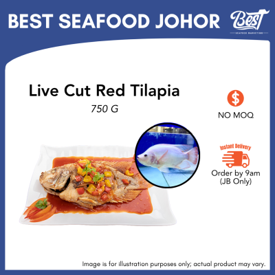 Red Tilapia / 尼罗红 (红非洲) 750g+-