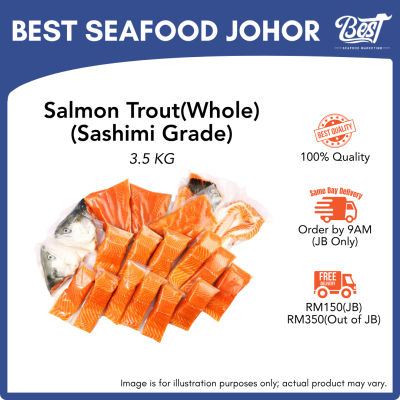 Air-Flown Norwegian Salmon Trout / 挪威鳟鱼 3.5kg