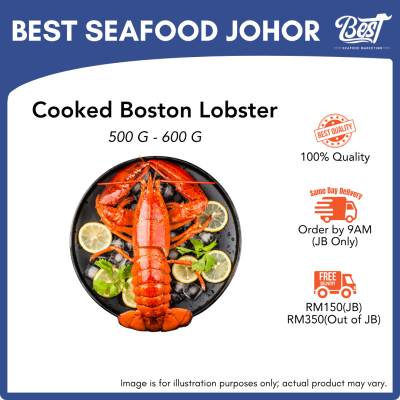 Cooked Boston Lobster 500-600g±/pcs 波士顿龙虾