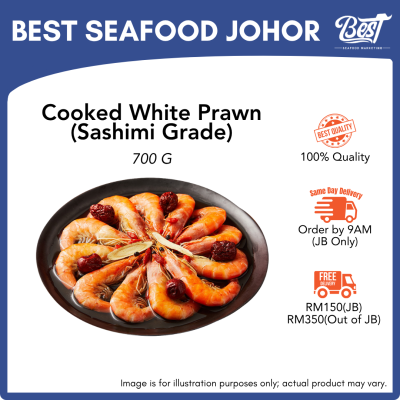 Cooked White Prawn / 白熟虾 (Size 31-40) 700g