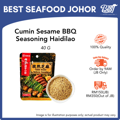 Cumin Sesame BBQ Seasoning Haidilao / 孜然芝麻烧烤料 40g