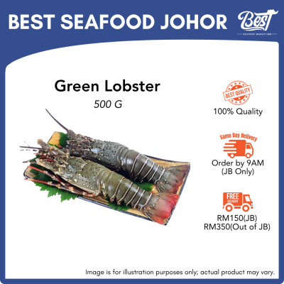 Green Lobster / 青龙虾 500g±