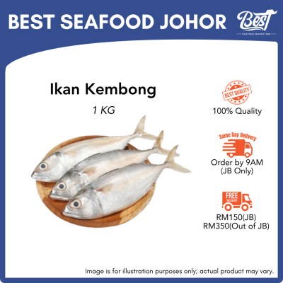 Kembong / 甘邦鱼 1kg±