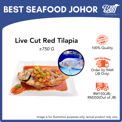 Live Cut Red Tilapia 750g± 活杀尼罗红 (红非洲)