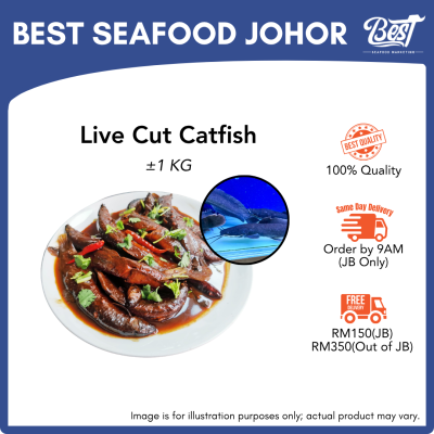 Live CutCatfish (Keli) / 活杀泥鳅 1kg±