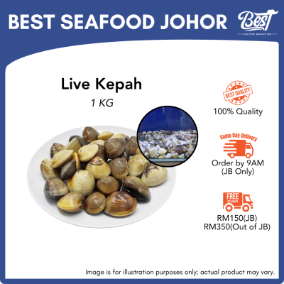 Live Kepah / 甲巴 (后壳啦啦) 1kg±