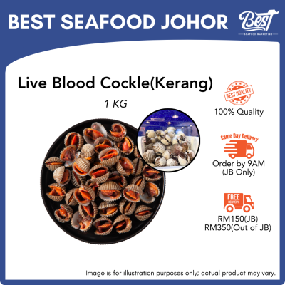Live Blood Cockle (Kerang) / 血蛤 1kg±