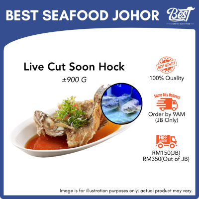 Live Cut Soon Hock / 顺壳 (笋壳) 900g±