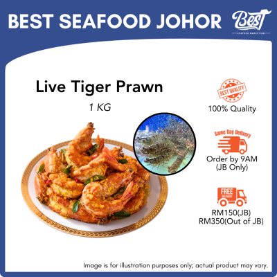 Live Tiger Prawn / 老虎虾 1kg±