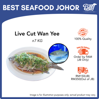 Live Cut Wan Yee / Wan Yu / 活杀鲩鱼 7kg±