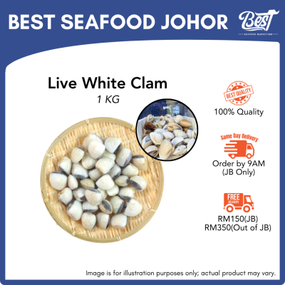 Live White Clam / 活沙白 1kg