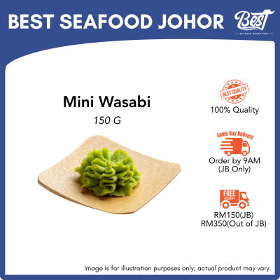 Mini Wasabi Paste 150g 芥末酱