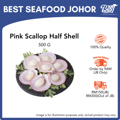 Pink Scallop Half Shell / 半壳彩色扇贝 (Size 30-40) 500g