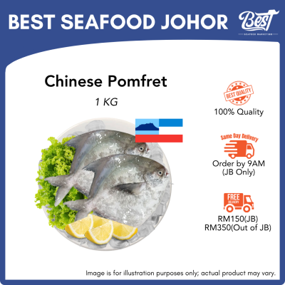 Chinese Pomfret / 斗昌 1kg±
