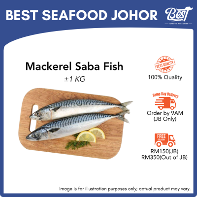 Mackerel Saba / 鲭鱼 1kg±