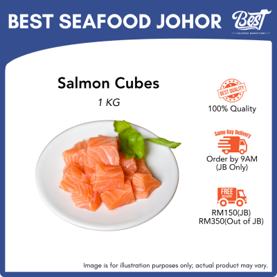 Salmon Cube Cut / 三文鱼丁 1kg