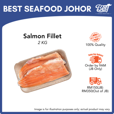 Salmon Fillet / 三文鱼片 2kg±