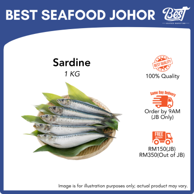 Sardine / 沙丁鱼 1kg