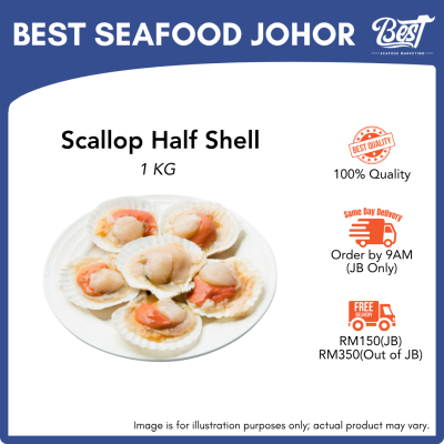 Scallop Half Shell / 半壳扇贝 (Size 8-9) 1kg
