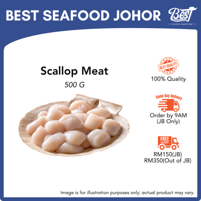 Scallop Meat / 带子肉 500g