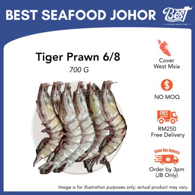 Wild Caught Tiger Prawn 6/8 野生老虎虾 700g