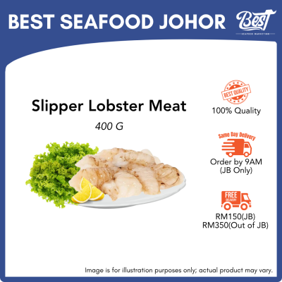 Slipper Lobster Meat / 虾婆肉 400g