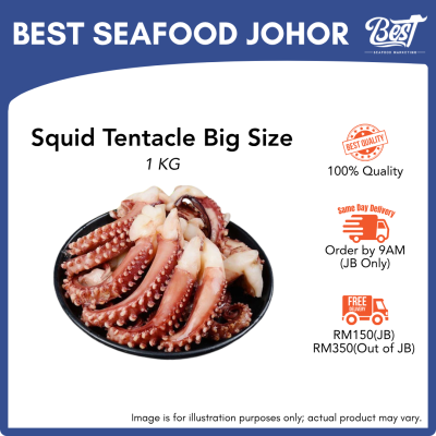 Squid Tentacle / 苏东脚 1kg