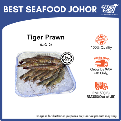 Tiger Prawn / 老虎虾 650g