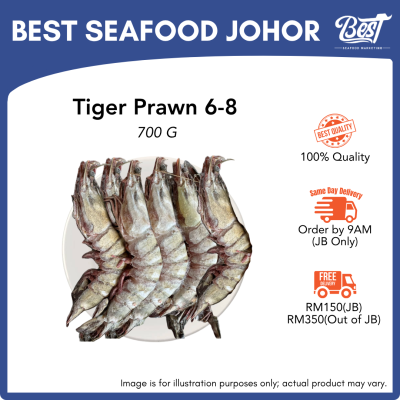 Wild Caught Tiger Prawn 6/8 野生老虎虾 700g