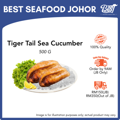 Tiger Tail Sea Cucumber / 虎皮参 500g