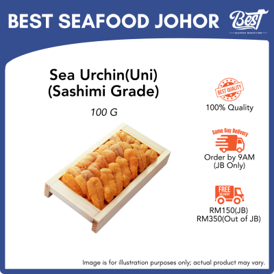 Sea Urchin (Bafun Uni) (Sashimi Grade) / 马粪海胆 刺身级 100g
