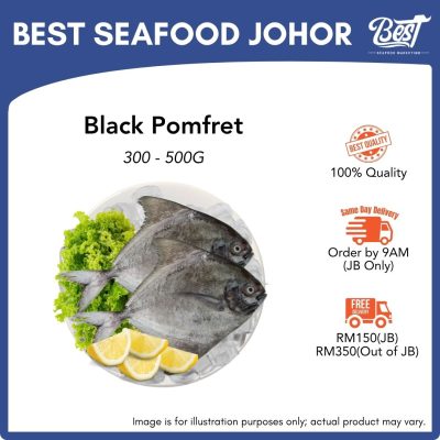 Black Pomfret / 黑昌 1kg±