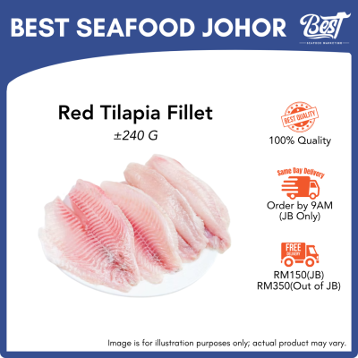 Red Tilapia Fillet / 尼罗红鱼片 240g±